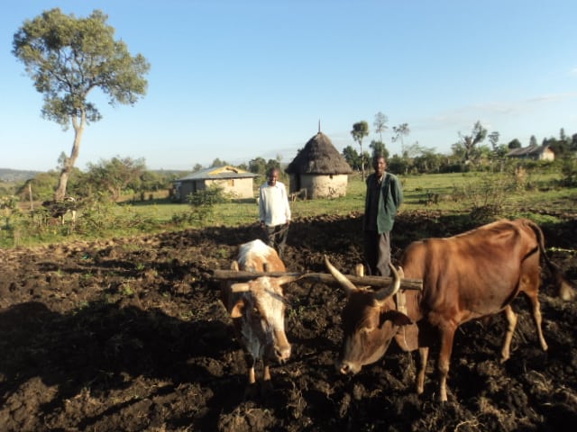 Children usually become runners or farmers in Rift Valley, Kenya.